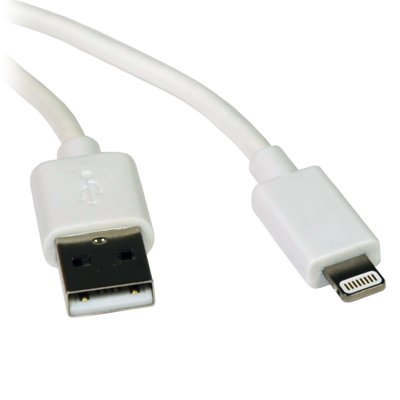 Cable iPad Iphone 1 m White Lightning