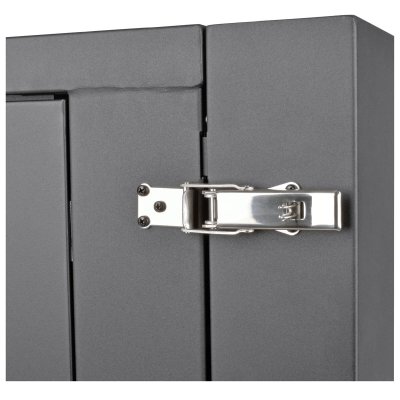 SmartRack 12U UPS-Depth Wall-Mount Rack SmartRack 12U UPS-Depth Wall-Mount Rack